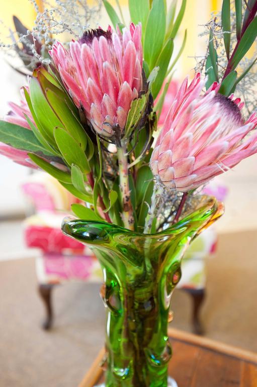 Karoo Art Hotel Barrydale Zewnętrze zdjęcie